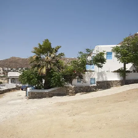 Asimina טורלוס