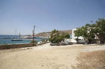 Asimina טורלוס